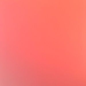 Meet your Posher, Kelsi